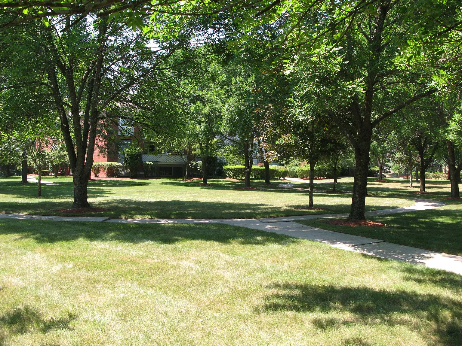 2 bed, 950 sqft, $2,195 — Photo 2