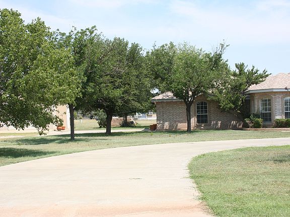 Concrete Drive/trees