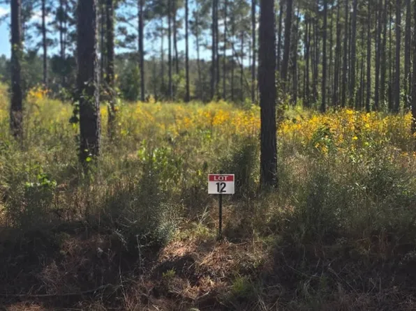 12 Army Recreation Rd, Florien, LA 71429