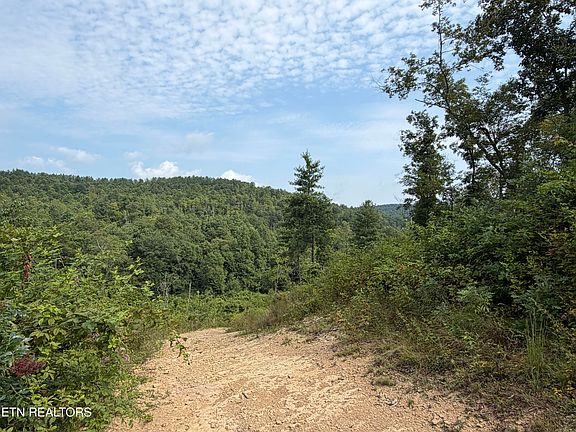 3rd image of Skull Creek Rd