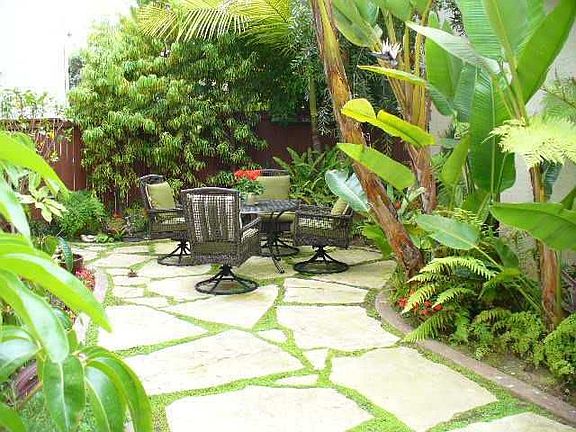 View of Tranquil Backyard