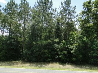 317 SW Wise Dr, Lake City, FL 32024
