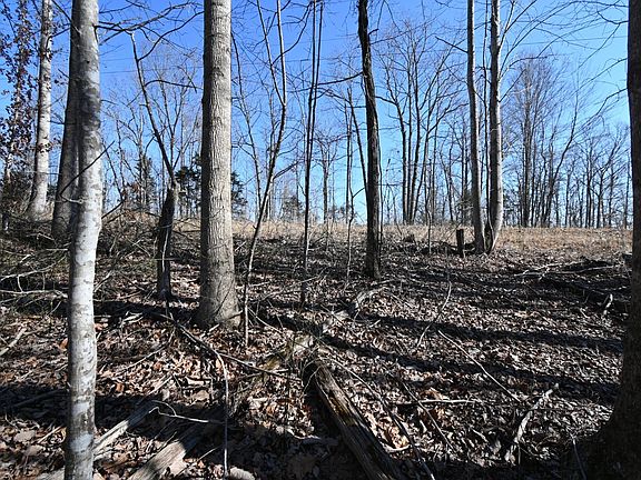 4th image of 2172 Airport Ridge Rd #1