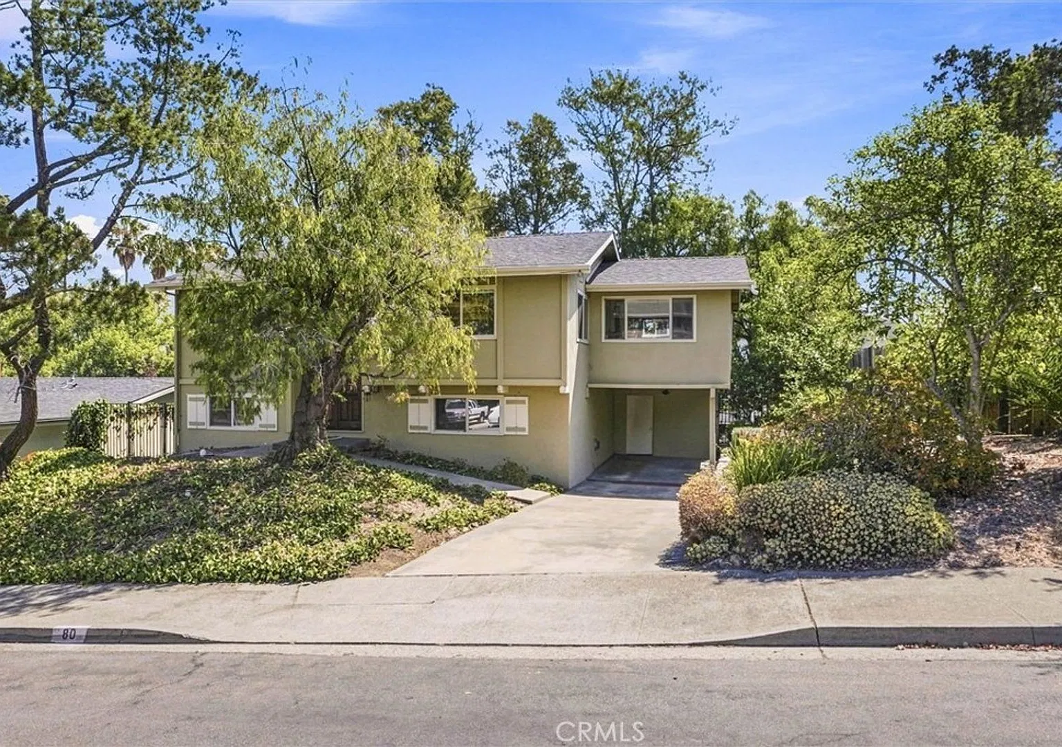 New on the rental market — Photo 1