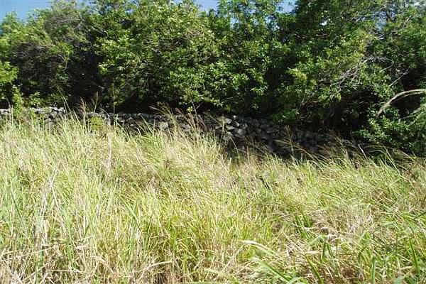 1st image of LOT 37 Lot 37