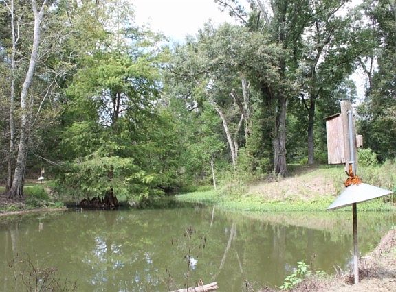 5th image of 163 Woodduck Ln