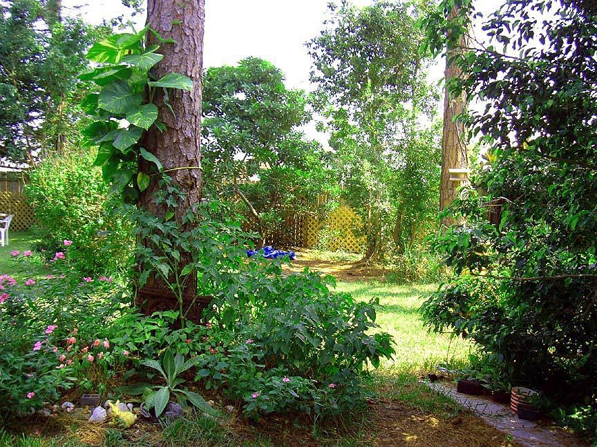Backyard