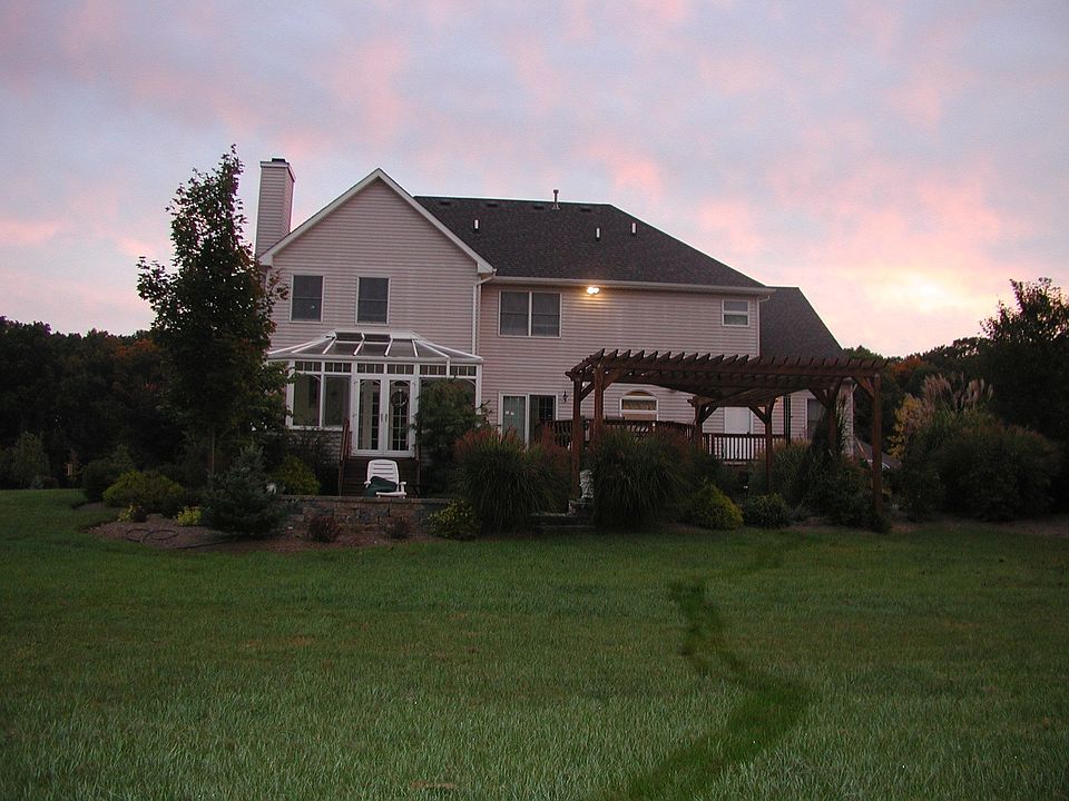 Rear View