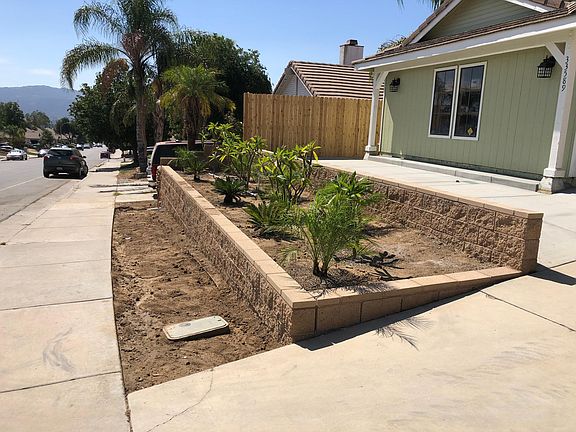 Front Planter - Plumeria and 2 different types of palm trees