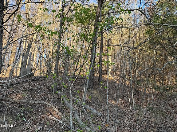 4th image of Possum Hollow Rd