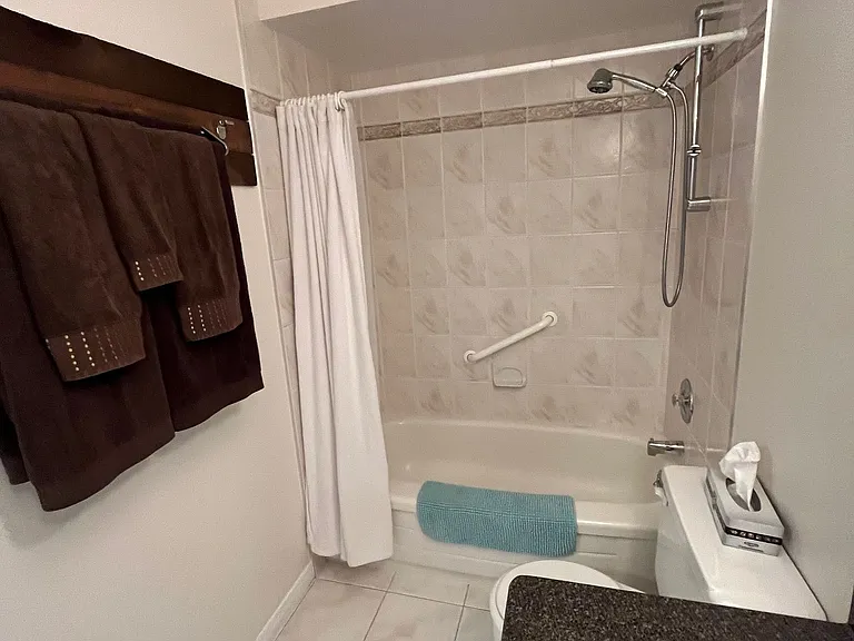 1081 Ambleside Dr #1705 — Photo 11