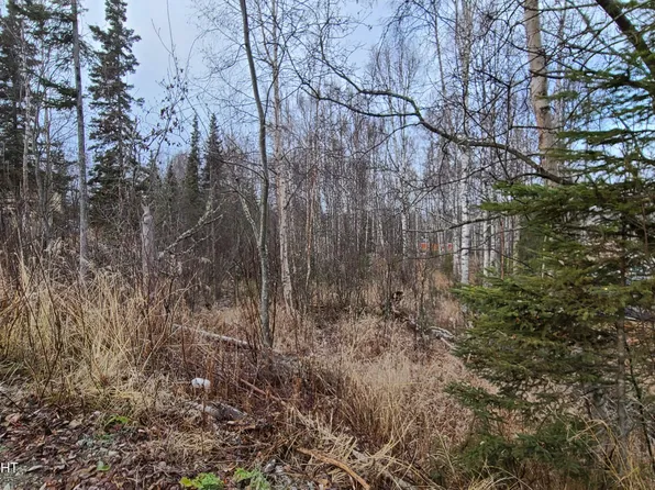 9111 W Sammie Cir, Wasilla, AK 99623