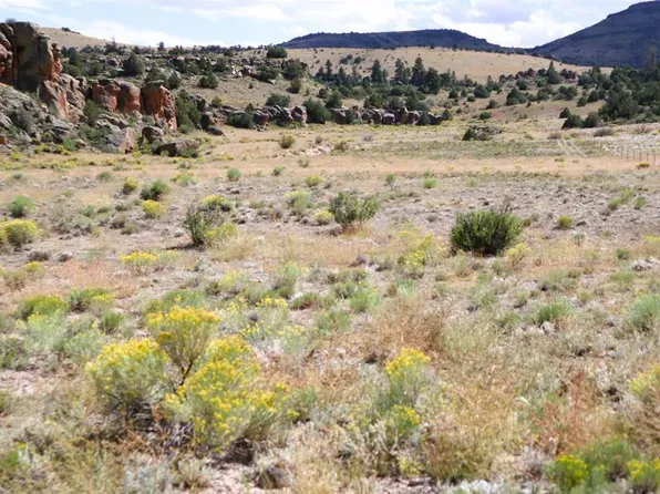  Tract 35 Jupiter Road, Del Norte, CO 81132