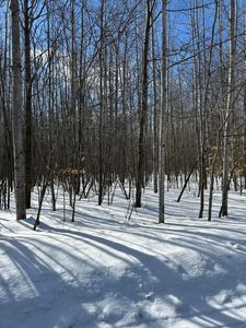 PARCEL Woodmansee Rd #A, Cheboygan, MI, 49721