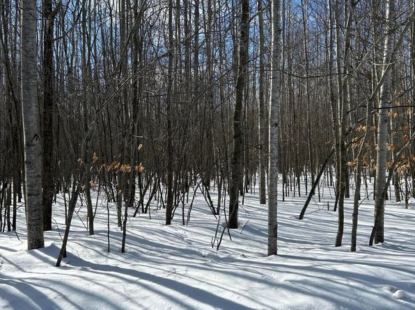 PARCEL Woodmansee Rd #A, Cheboygan, MI 49721