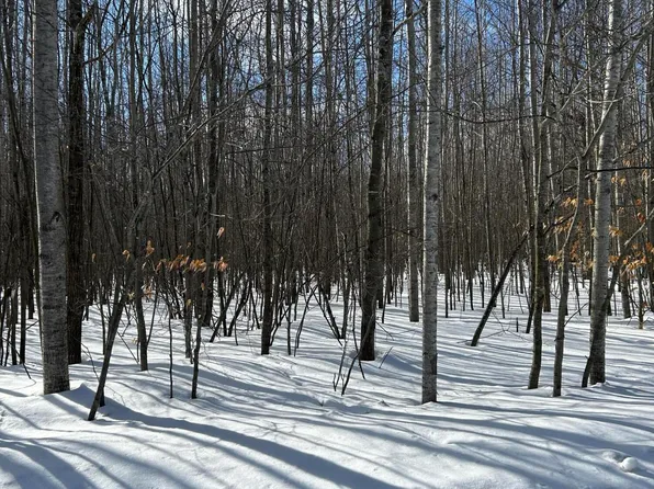 PARCEL Woodmansee Rd #A, Cheboygan, MI 49721