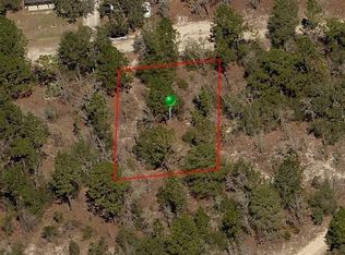 2901 Winston St, Inverness, FL 34452