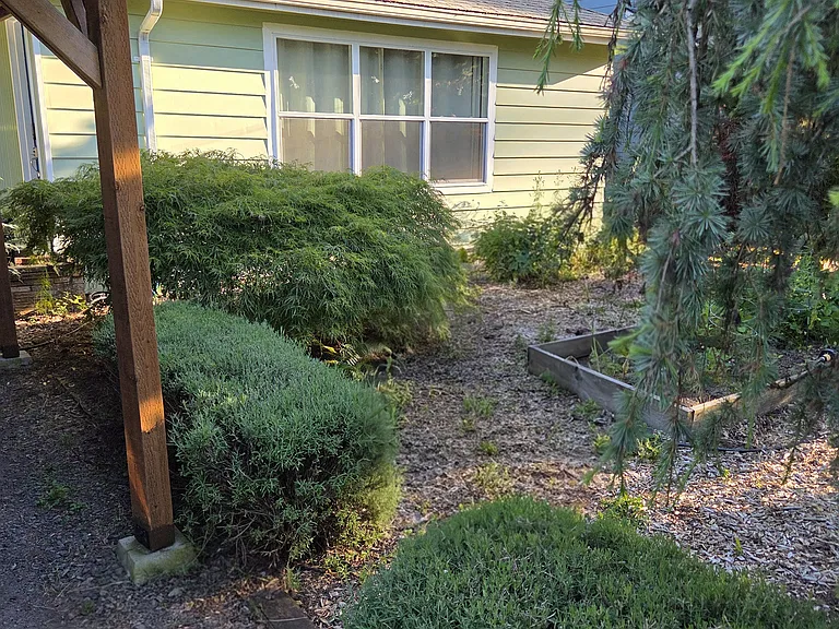 Front yard
