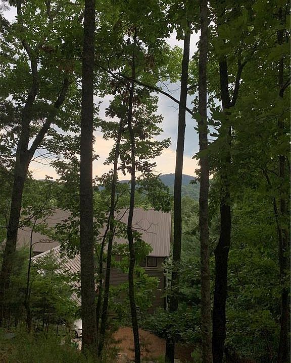 1st image of 554 Grouse Gap Dr APT 2002