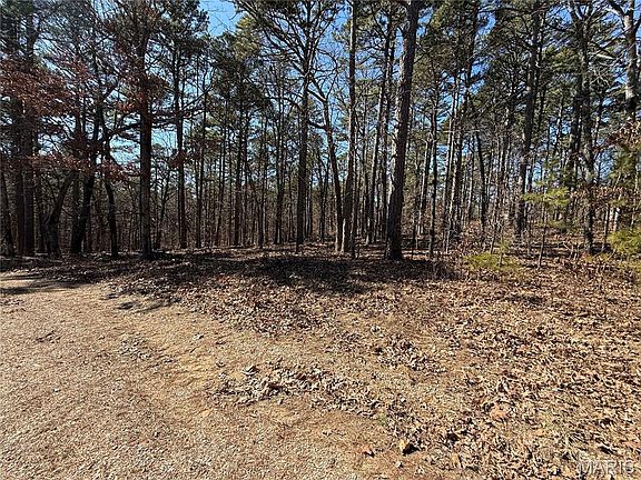 4th image of 10066 Fish Hook Rd