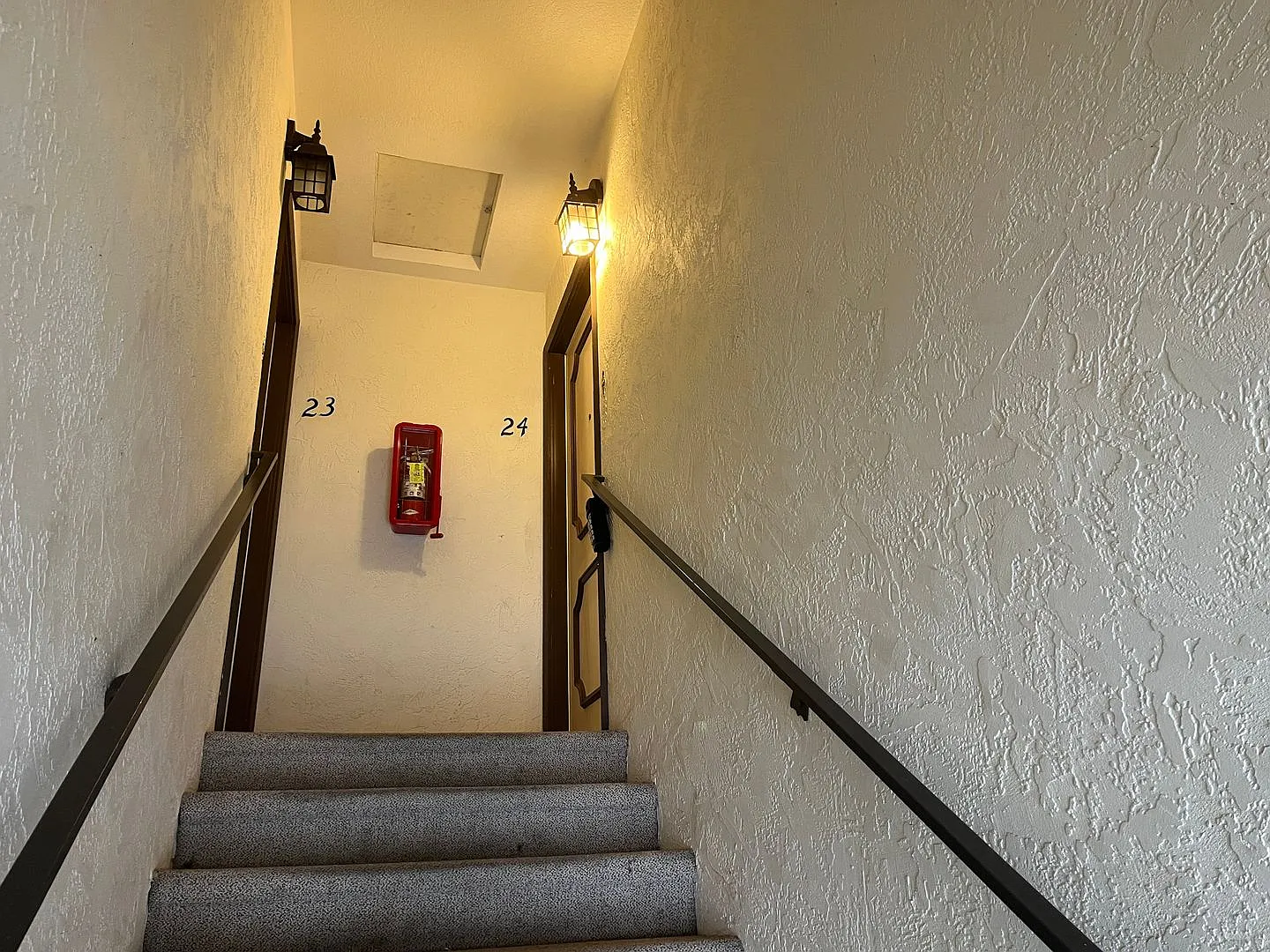 2241 Arbutus PRM: Henry (4) — Photo 2