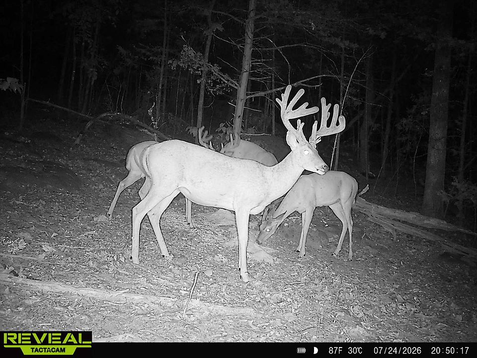 1st image of 7 Sardis Lake Rd