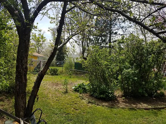 Back yard looking on to the garden.  Lots of Raspberry and B