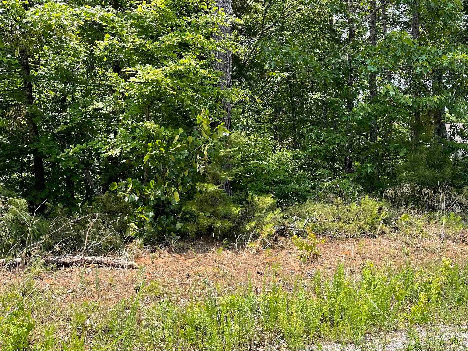 5 Mini Farm Rd, Grant, AL 35747 MLS 21848958 Zillow