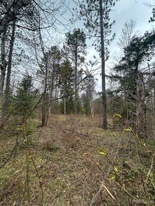 N Boulder St, Gwinn, MI, 49841
