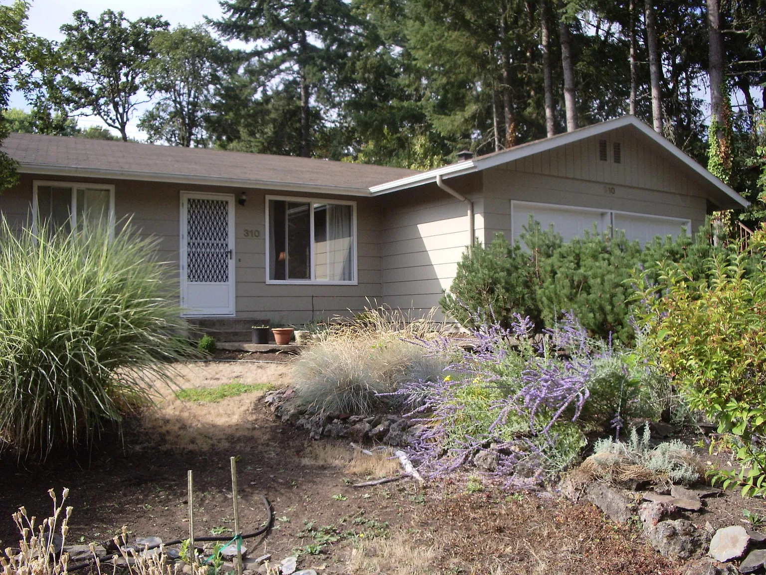 3 bed, 1200 sqft, $2,295 — Photo 1