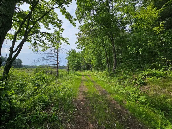 Lot 48 Ursa Road, Hayward, WI 54843