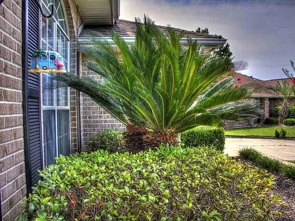 5th image of 5105 Tara Creek Ct