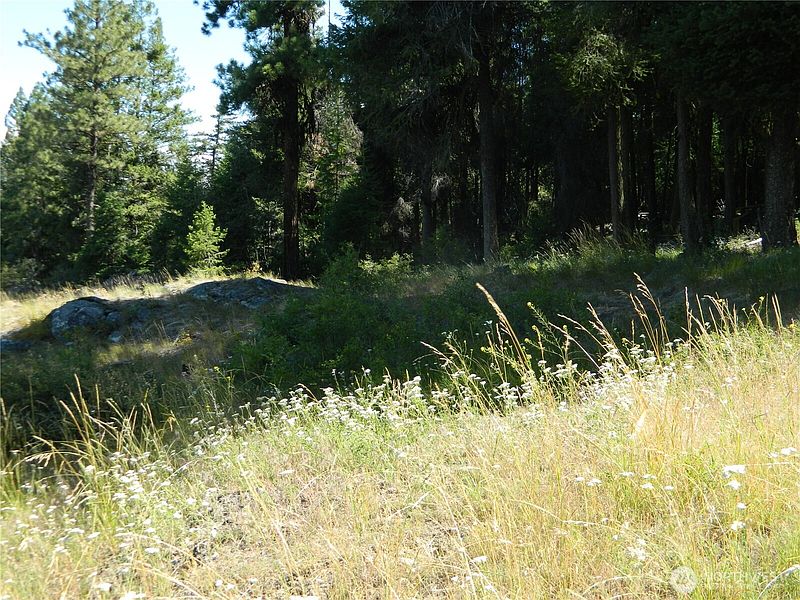 3rd image of 0 TBD Snowbunny Ridge Drive