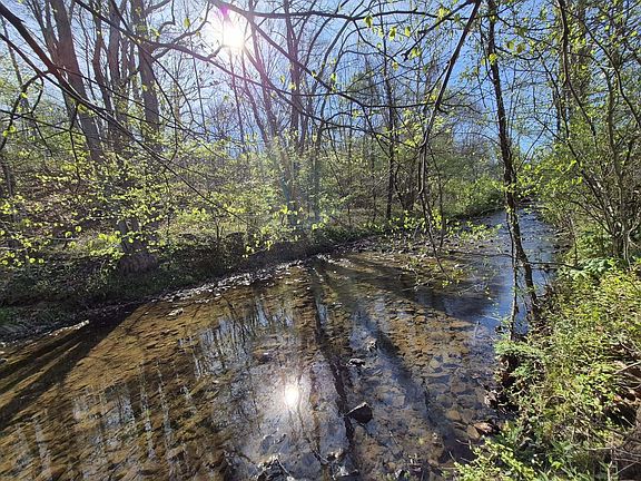 3rd image of 1232 Prillaman Switch Rd