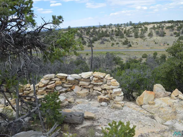 25 Rim Rock Rd, Pinehill, NM 87357