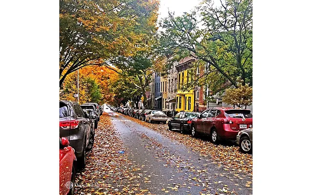 Rented by Douglas Elliman | media 28