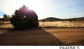 5th image of 1953 W Shadow Valley Dr