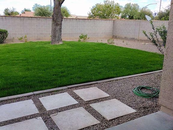 Back Yard with grass and large shade tree