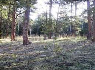 26177 Richmond Hill Rd, Conifer, CO 80433