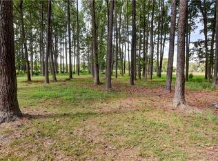 175AC Cobham Wharf Rd, Surry, VA 23883