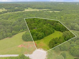 17308 Pius Pl S, Winona, TX 75792