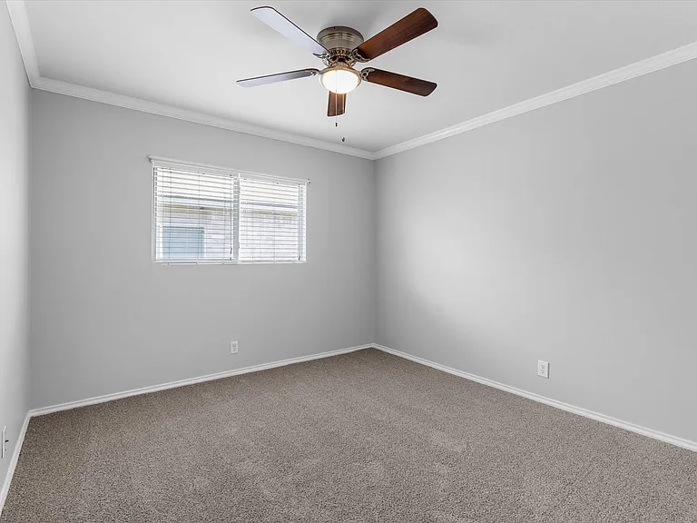 143 Blue Juniper — Photo 18