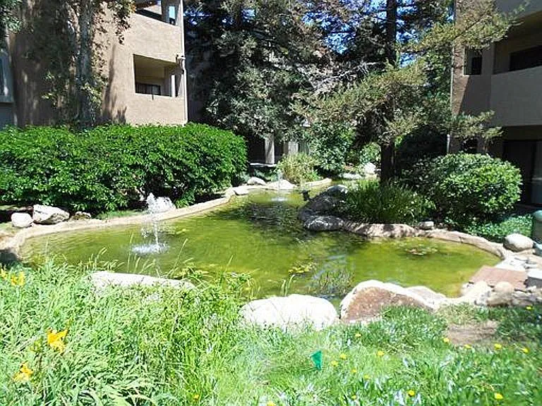 9755 Mesa Springs Way — Photo 11