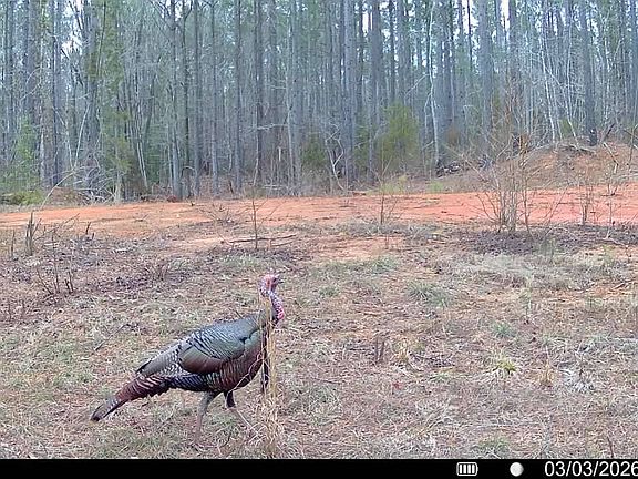 4th image of 0 Kennedy Rd