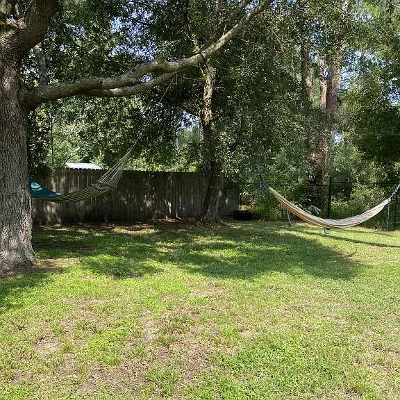 54 Burning Bush Dr — Photo 14