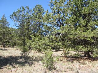 Hill Dr, Hartsel, CO 80449