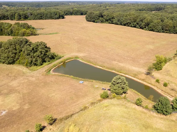 000 Little Creek Drive, Fordland, MO 65652