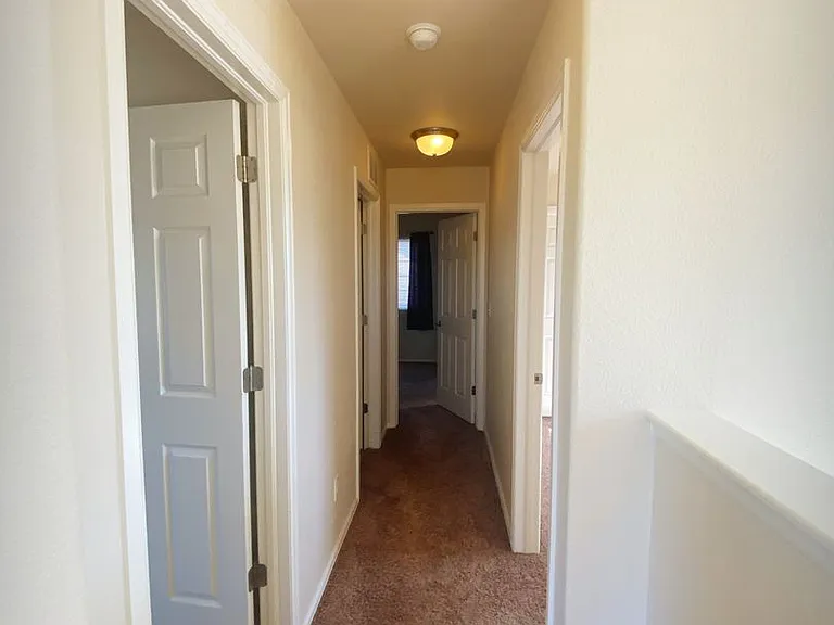 4556 Horse Tooth Rd — Photo 20