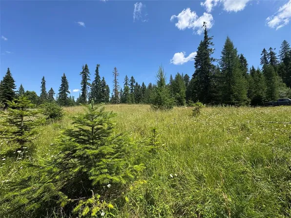 13643 Sundance Trl, Bigfork, MT 59911