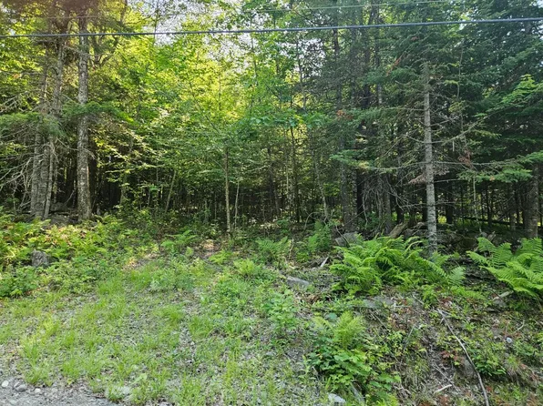 Lot 2-B Rips Road, Brownville, ME 04414